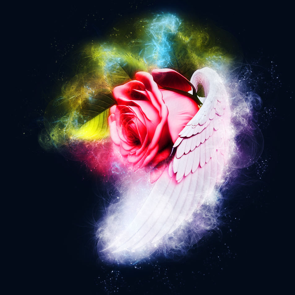 Angelic Rose